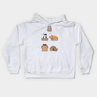 Cats In Boxes Kids Hoodie